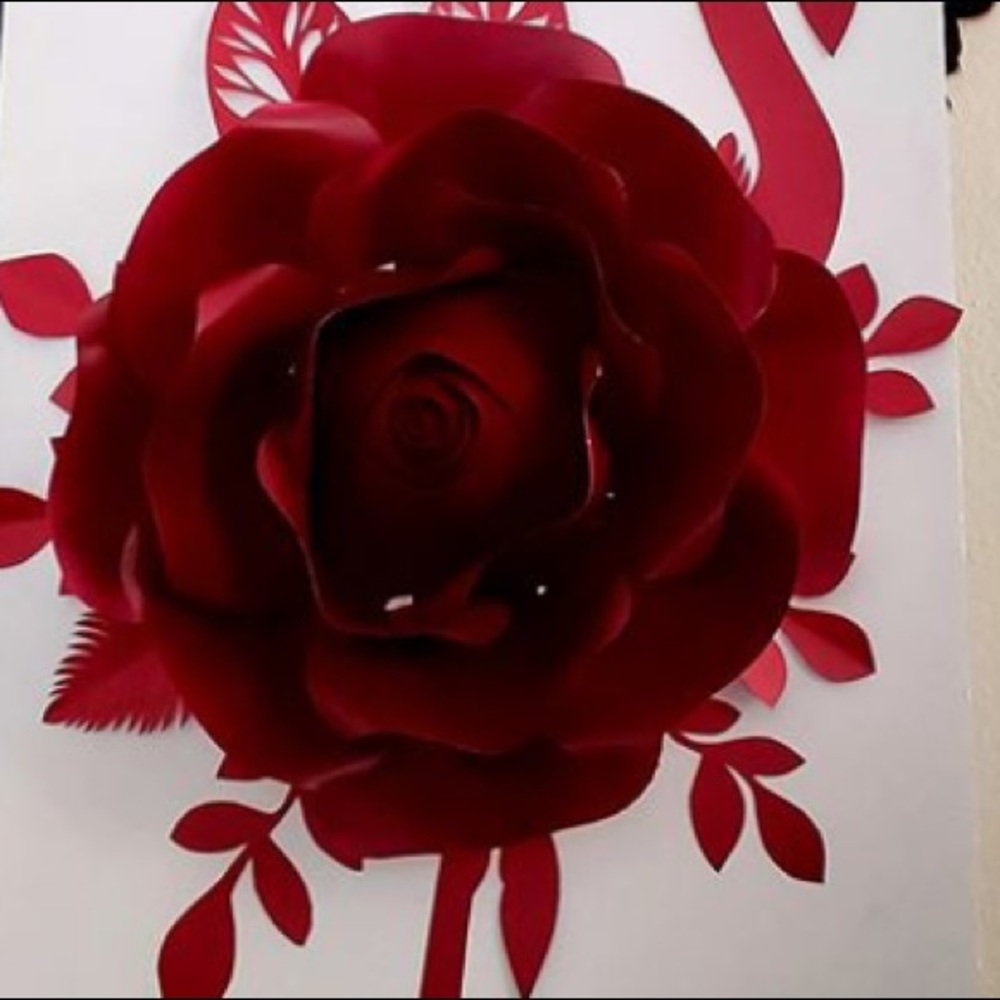 Meet your Posher, Rosa